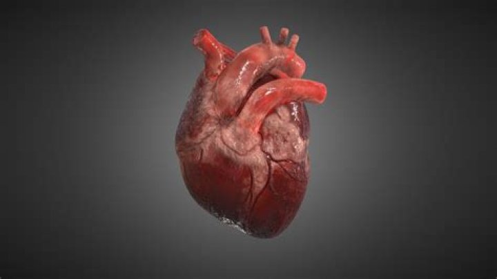 3d Heart Free Stock Photo Public Domain Pictures